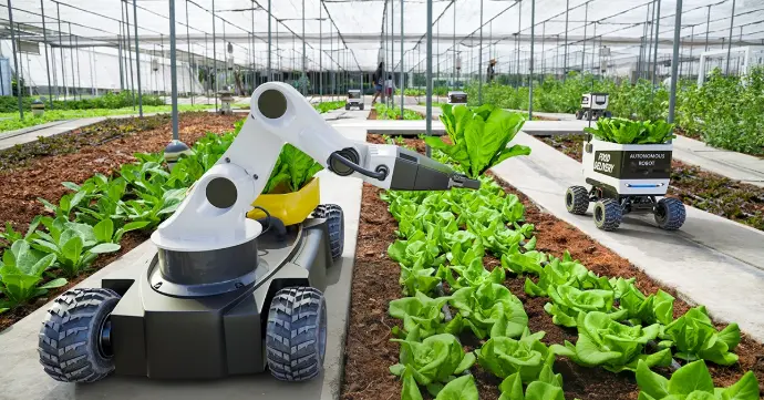 Agriculture Automation